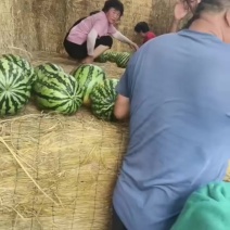 美都西瓜