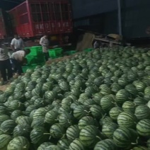 正宗宁夏青铜峡无籽美都。