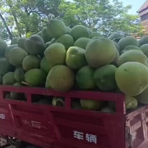 椰子大果小果老果（