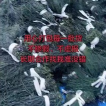 干豆角