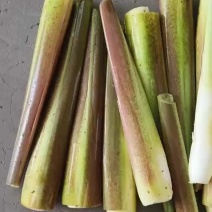 精品老品种白度有保障