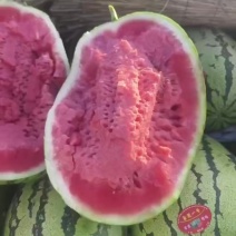 甘肃石头西瓜