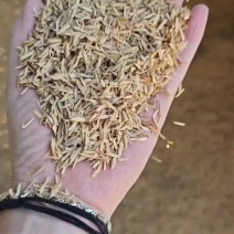 压缩稻壳，跳楼大甩卖