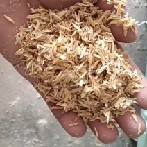 湖北襄阳枣阳，压缩稻壳，食用菌种植，酒厂酿酒，养殖垫圈，