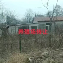 丹东元宝区养殖场出售出租，手续全