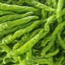陇椒，螺丝椒