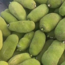 海南黄肉干包菠萝蜜马来一号