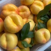 蟠桃中的水蜜桃，汁水足到你难以相信，油七油蟠桃，一款可以