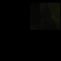 广东湛江贝贝南瓜1