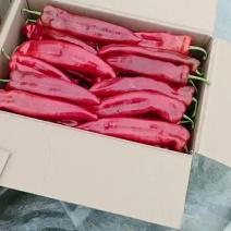 红牛角椒