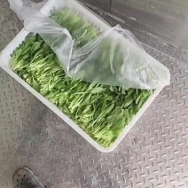 【实力推荐】鸡毛菜脆嫩清甜诚信经营，品质优先、叶绿鲜亮