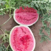 西瓜
