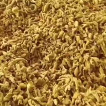 四川犍为县统货干姜黄干姜黄供应稳定，量大价优