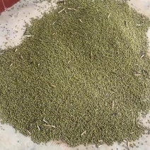 绿豆
