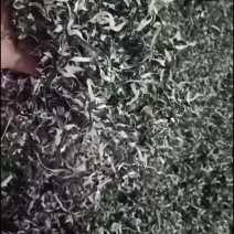 电商木耳丝无根头茬优质木耳丝产地一手货源无根电商丝好货丝