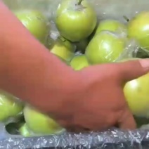 皇冠梨代收
