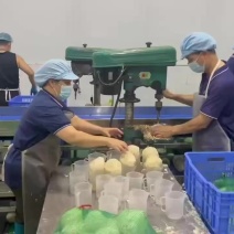香椰水单倍椰子水源头工厂供应椰水饮料香椰肉冻干原料