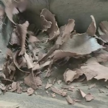 油枯