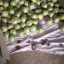 精品皇冠梨
