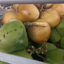椰子