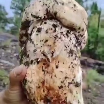 产地直销
