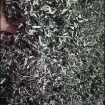 电商丝无根头茬木耳丝长丝去根挖洞木耳丝电商木耳丝品质保证