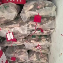 锡盟小白花羊蹄一包170个