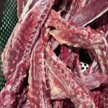 满肉羊蝎子，全国发货。