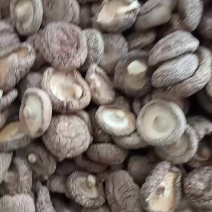 干香菇，产地直供，一手货源，规格齐全，价格十几元到二十几