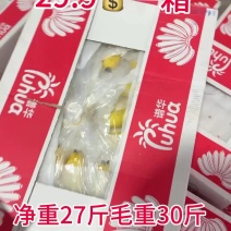 精品二黄