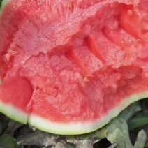 甘美4K/高品质甘美西瓜含糖量高皮毛亮口感砂甜全国代发…