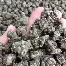 猫爪草大颗粒尖爪