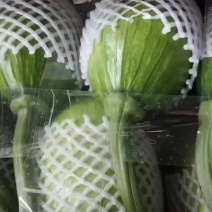 小南瓜