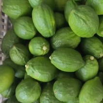 广东香水柠檬一件代发，榨汁加工厂都有货