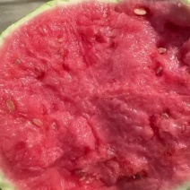 甘肃庆阳麒麟瓜