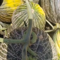 斗牛