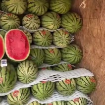 甘肃西瓜