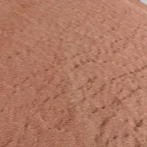 红高粱