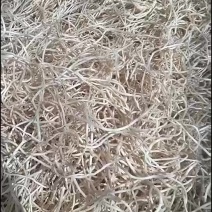 惠东基地新货鱼腥草上市了