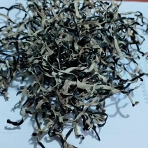 木耳丝白背毛木耳丝