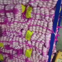 金乡大蒜，代收，加工，电商货，精品货，都有，质量好