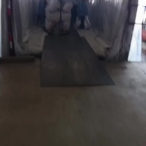 白萝卜