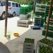 无花果代办代收