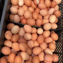 红皮鲜鸡蛋🥚批发