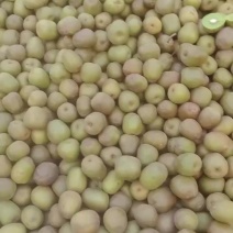 四川蒲江红心猕猴桃🥝