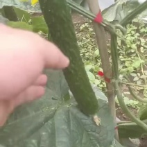 有需要老板可以联系