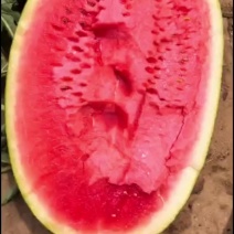 内蒙沙地西瓜