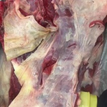 清真牛产品，牛腩，厂家直销，大量现货