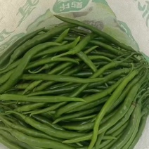 鲜辣椒云南线椒，大量现货供应，现采现发，对接市场批发商