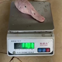 鸭头大量有货，小包装，大板